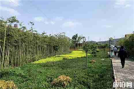 韓城竹園景區游玩攻略