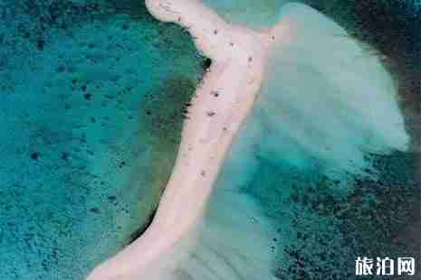 拖尾沙灘在哪里+交通