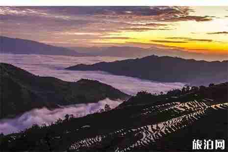 元江那諾梯田幾月去好玩 元江那諾梯田游玩攻略