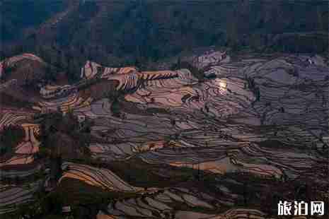 2019元陽梯田老虎嘴景區3月開放