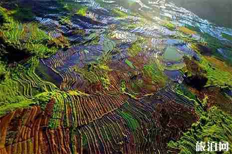 福建梯田哪里最好 福建梯田哪里最好