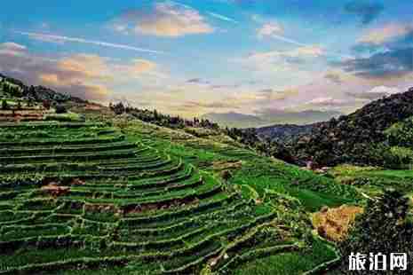 福建梯田哪里最好 福建梯田哪里最好