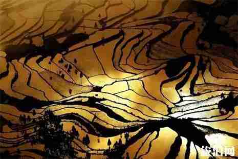 茗岙梯田什么時候去最好