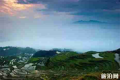 茗岙梯田什么時候去最好