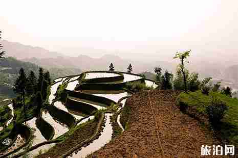 婁底紫鵲界梯田賞玩攻略 婁底紫鵲界梯田賞玩攻略