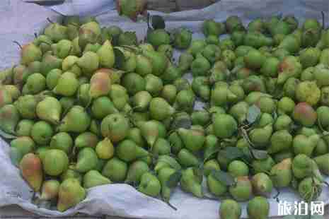 2019濟南大集時間信息