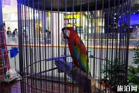 石家莊商圈在哪里 石家莊商圈排行榜