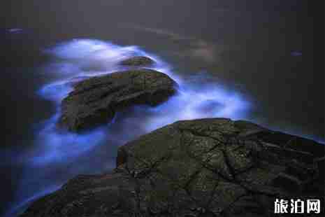 2019平潭藍眼淚時間+在哪里+介紹 2019平潭藍眼淚時間+在哪里+介紹