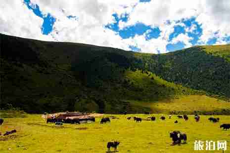 成都到新都桥自驾花费得多少钱 成都到新都桥自驾花费得多少钱