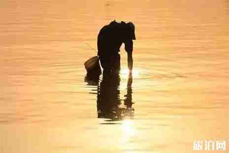 山东威海哪里可以赶海找海鲜