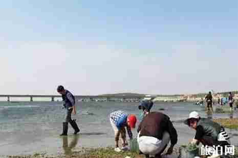 山东威海哪里可以赶海找海鲜