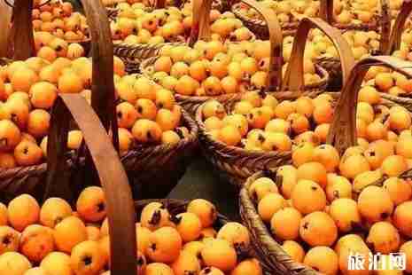 2019成都枇杷采摘攻略 2019成都枇杷采摘攻略