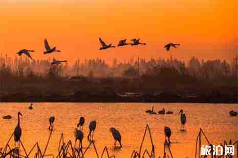 南昌鄱阳湖游玩攻略 地点+景点介绍+门票