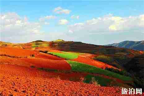 东川红土地景区怎么去 东川红土地景区怎么去