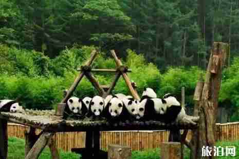 2019六一上海哪里好玩+适合孩子去的博物馆推荐