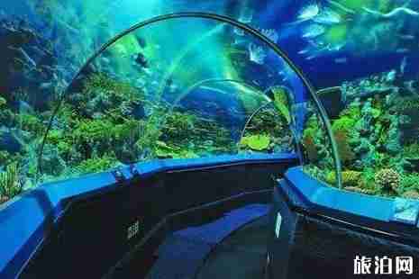 2019六一上海哪里好玩+适合孩子去的博物馆推荐