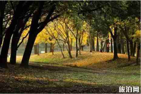 2019六一上海哪里好玩+适合孩子去的博物馆推荐