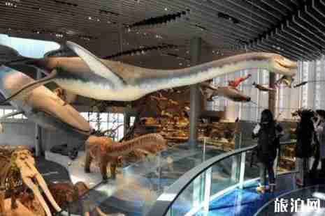 2019六一上海哪里好玩+适合孩子去的博物馆推荐