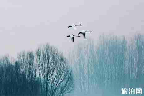 2019河南三门峡三日游玩攻略 2019河南三门峡三日游玩攻略