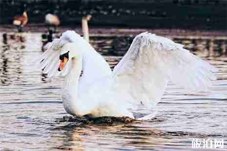 2019河南三门峡三日游玩攻略 2019河南三门峡三日游玩攻略