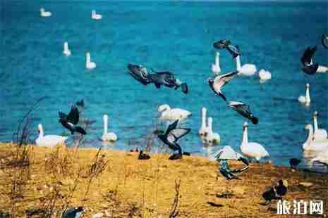 2019河南三门峡三日游玩攻略 2019河南三门峡三日游玩攻略