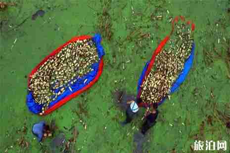 5月19日中国旅游日海口景区活动汇总2019 5月19日中国旅游日海口景区活动汇总2019