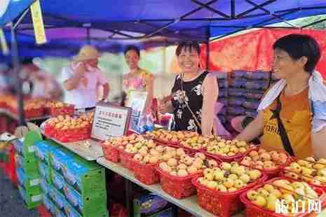 2019金华罗店枇杷节5月18日开启