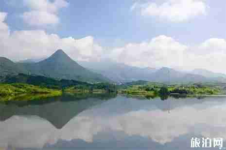 2019金华罗店枇杷节5月18日开启