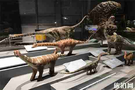 2019广州最大恐龙国际巡回展门票信息 2019广州最大恐龙国际巡回展门票信息