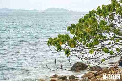 2019深圳免费景点旅游推荐 2019深圳免费景点旅游推荐