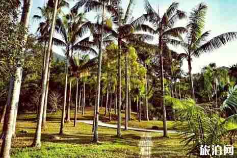 2019深圳免费景点旅游推荐 2019深圳免费景点旅游推荐