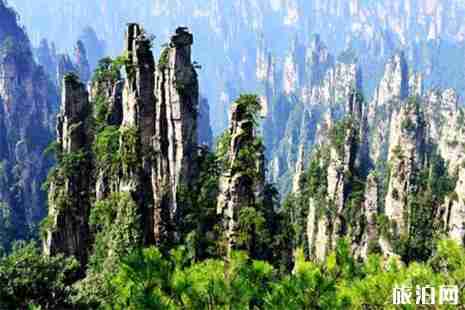 張家界門票 聯票解讀 張家界門票 聯票解讀