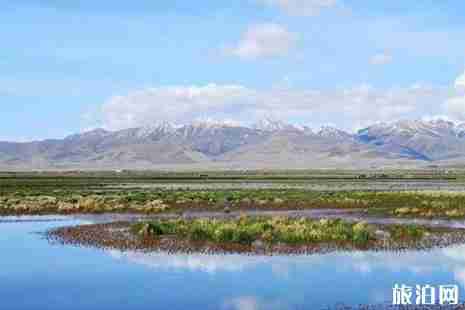 2019若尔盖花湖开放了吗+攻略 2019若尔盖花湖开放了吗+攻略