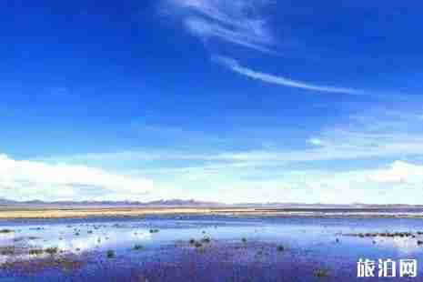 2019若尔盖花湖开放了吗+攻略 2019若尔盖花湖开放了吗+攻略