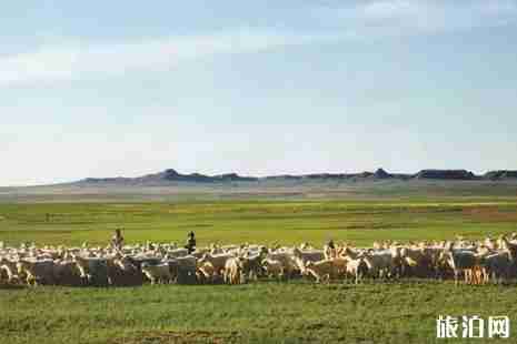 2019中国旅游日鄂尔多斯景区免费景点+活动 2019中国旅游日鄂尔多斯景区免费景点+活动