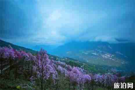 九皇山门票信息+旅游贴士+游玩攻略 九皇山门票信息+旅游贴士+游玩攻略