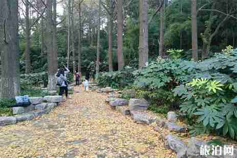 南京清凉山公园开放时间 清凉山公园收费吗 南京清凉山公园开放时间 清凉山公园收费吗