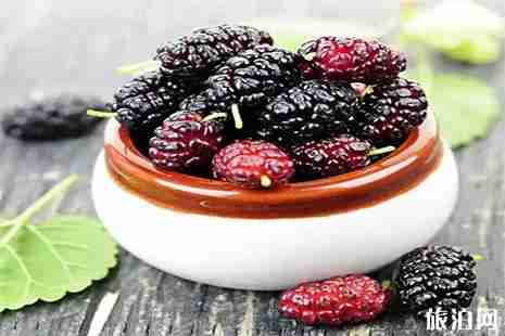 无锡桑葚哪里采摘 无锡桑葚哪里采摘