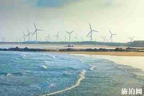 2019平潭蓝眼泪观赏攻略