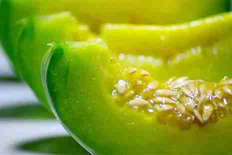 上海崇明采摘园推荐 上海崇明采摘园推荐