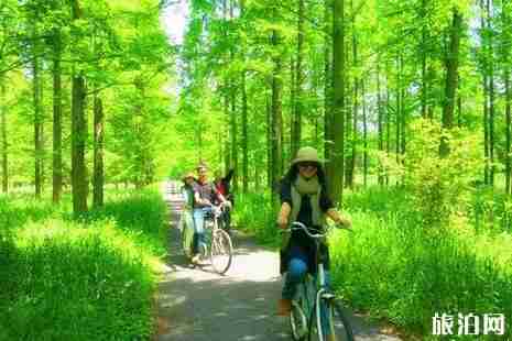 上海崇明露营地点推荐 上海崇明露营地点推荐