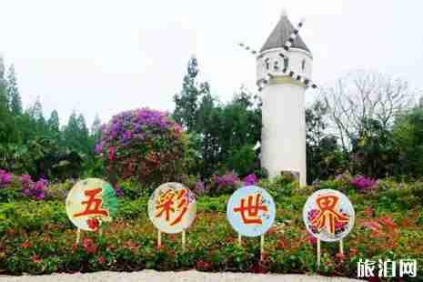 2019年夏季崇明賞花攻略