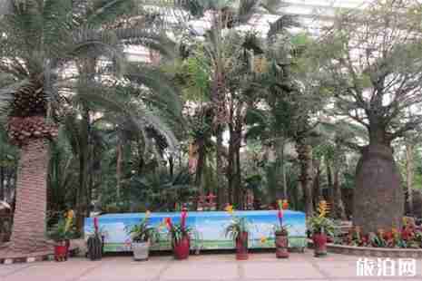 2019石家莊植物園年卡辦理 2019石家莊植物園年卡辦理