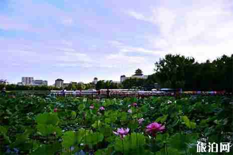 北京莲花池公园收费吗 北京莲花池公园收费吗