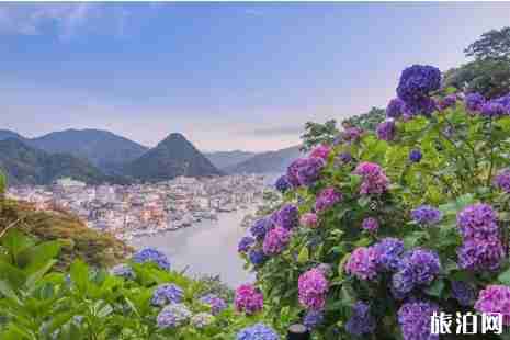 日本紫阳花盛花期2019 6月初日本哪里看紫阳花