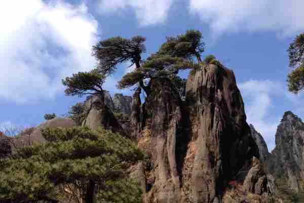 三清山景区停车场收费标准