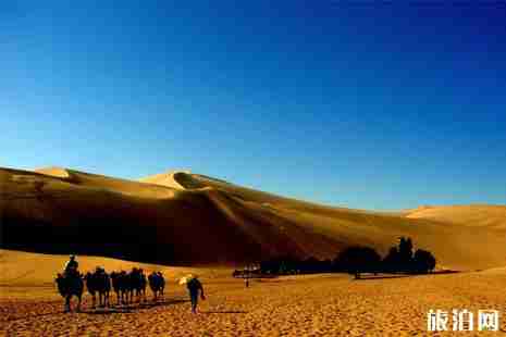 暑假亲子游推荐国内 暑假亲子游推荐国内