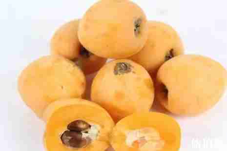 2019昆明枇杷采摘地址+价格 2019昆明枇杷采摘地址+价格