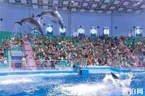 罗源湾海洋世界有几个馆 附价格表 罗源湾海洋世界有几个馆 附价格表