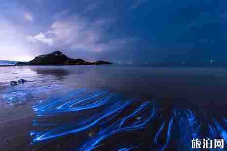 平潭蓝眼泪是什么东西+出现的月份+拍摄技巧 平潭蓝眼泪是什么东西+出现的月份+拍摄技巧